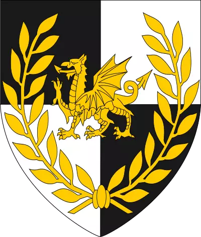 shield for dragonmarch